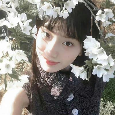 我们的四十年